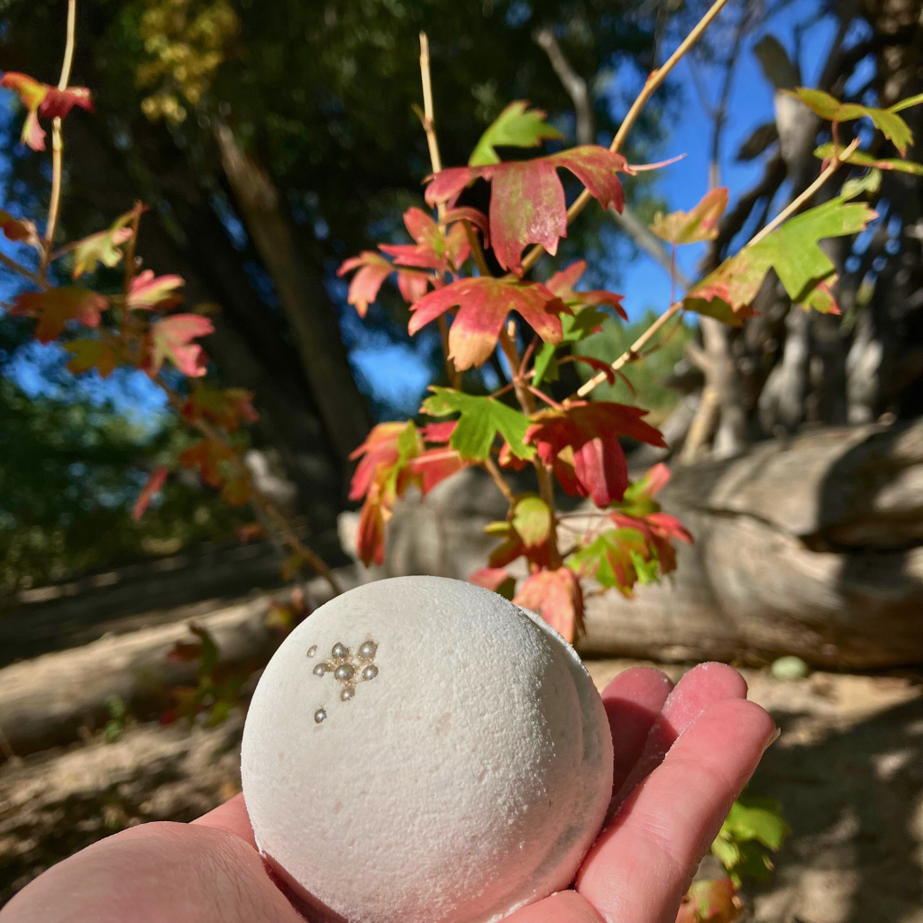 Cozy Cabin Vanilla Caramel | Handmade Artisan Bath Bomb | 5oz