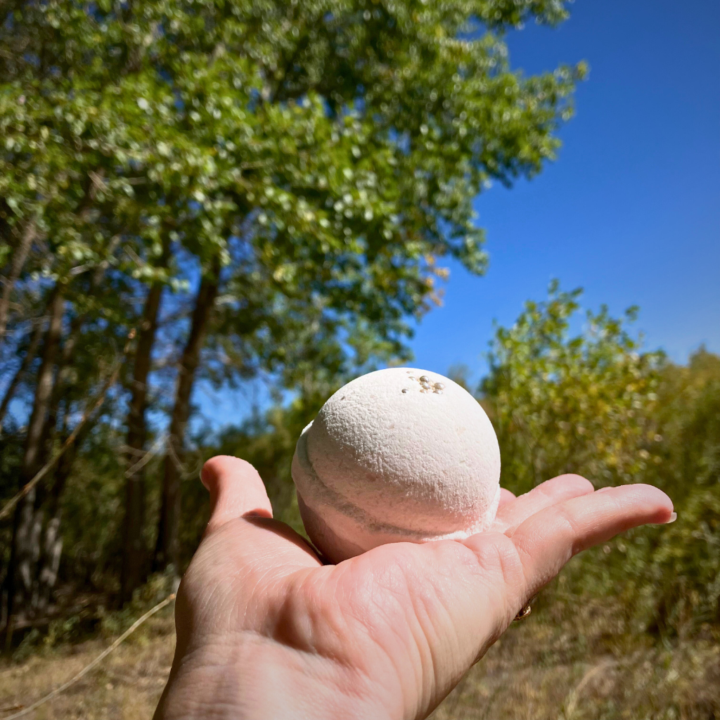 Cozy Cabin Vanilla Caramel | Handmade Artisan Bath Bomb | 5oz