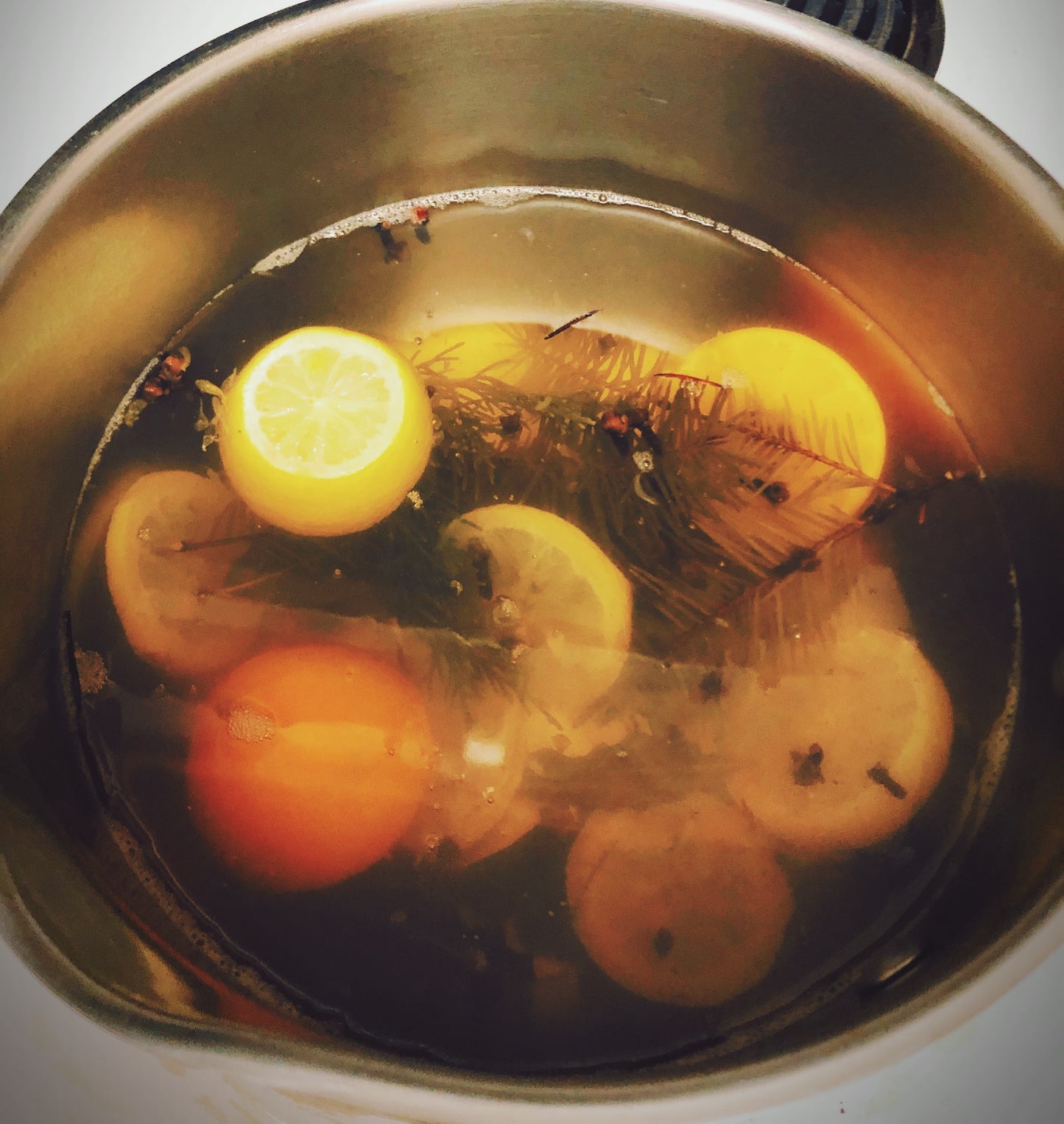 Fall Goodness Blend | Stovetop Potpourri