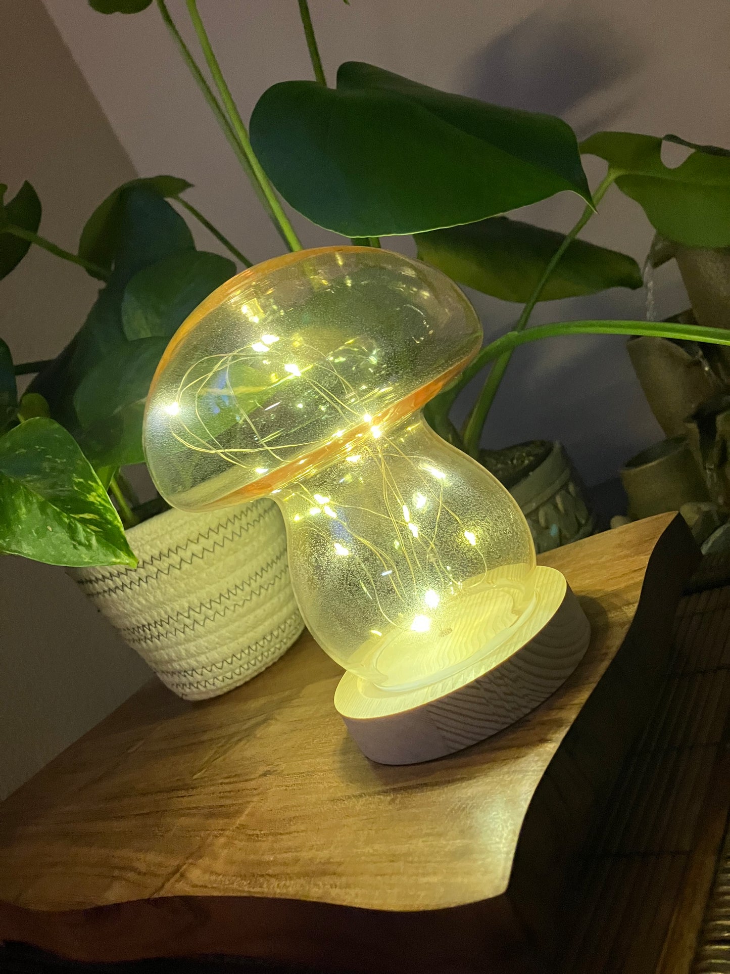 Fairy Light-Filled Mushroom | Cordless Light | Portable